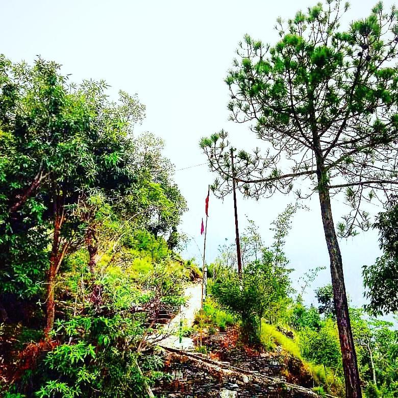 Nature Drops, Pangot Nainital Exterior photo