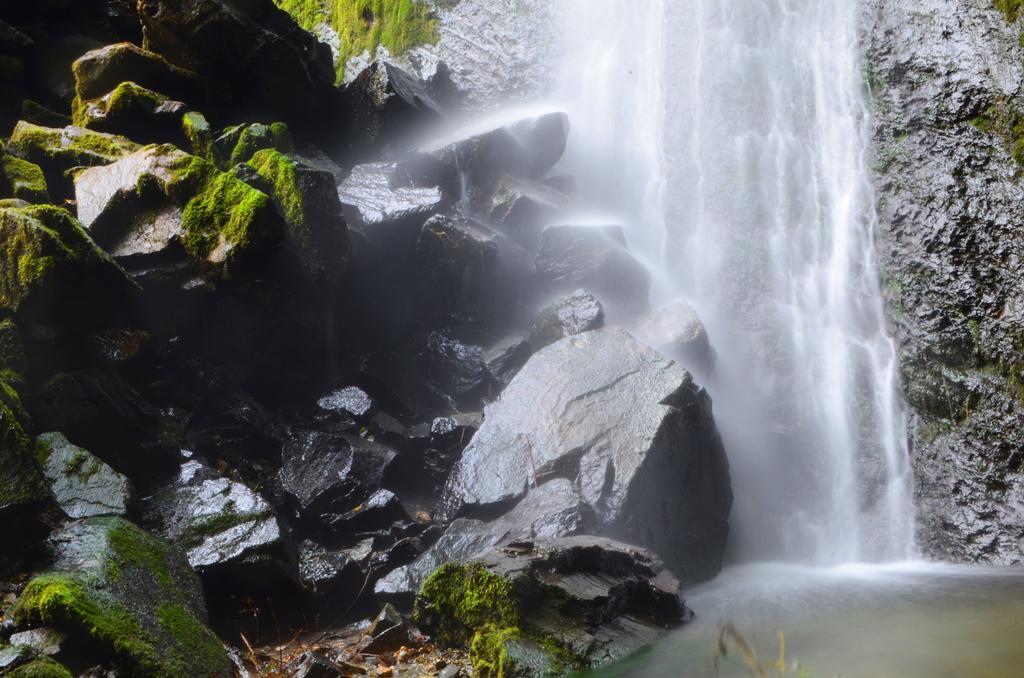 Nature Drops, Pangot Nainital Exterior photo
