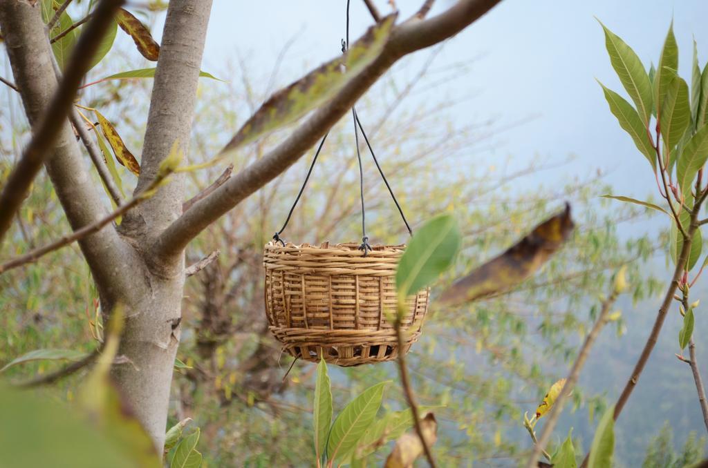 Nature Drops, Pangot Nainital Exterior photo