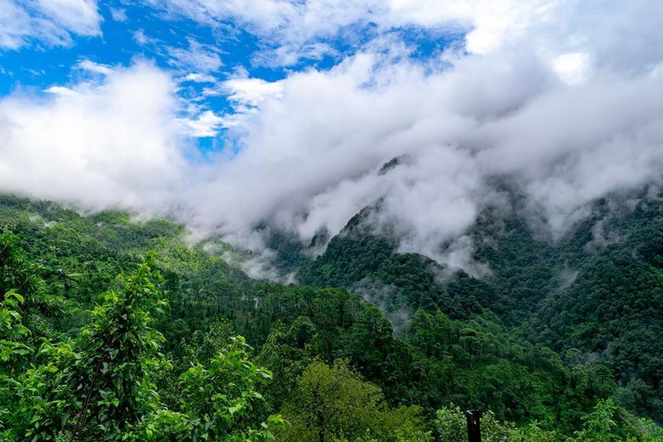 Nature Drops, Pangot Nainital Exterior photo